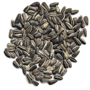 Sunflower Seeds for Human consumption