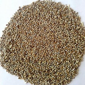 Specification Of Millet Seeds