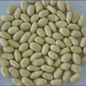 2018 high quality hot sale wholesale peanuts specification